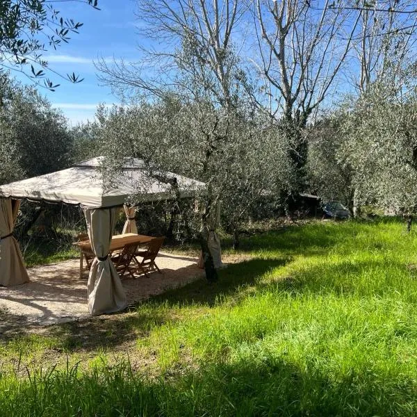 Olive Garden Loft - Settignano, hotel in Settignano