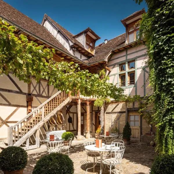 Le Champ des Oiseaux Hôtel & Spa, hotel v destinácii Troyes