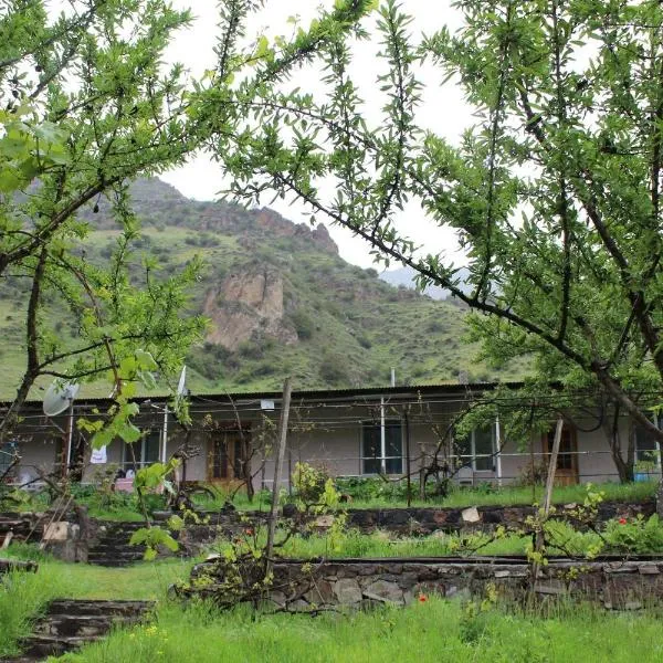 Tirebi Farmhouse, hotel in Vardzia