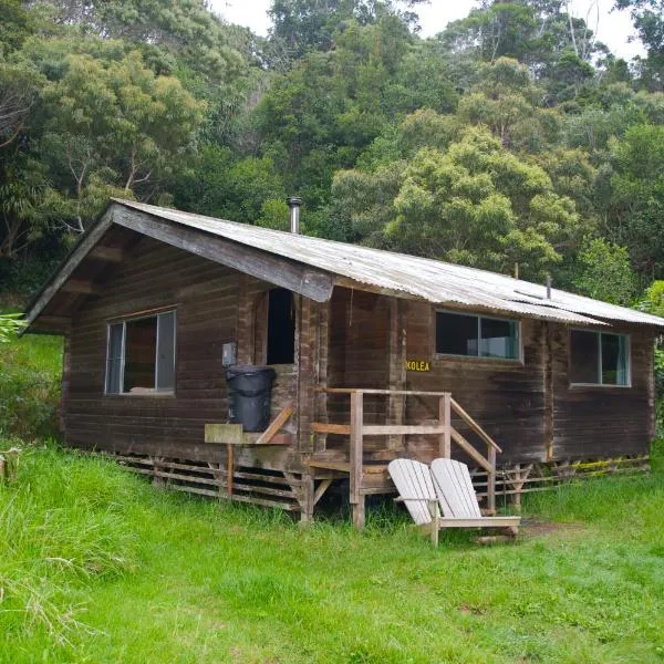 The Cabins at Kokee, viešbutis mieste Waimea