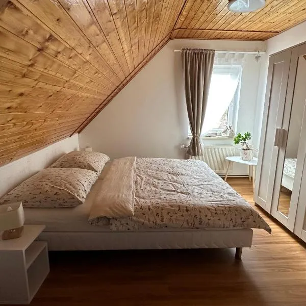 Apartmán Jako u Babičky, hotel in Tisá
