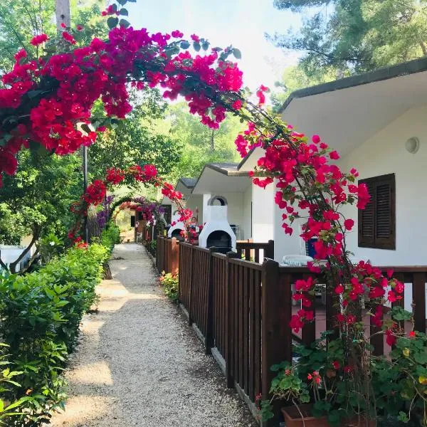 Camping Villaggio Internazionale, hotel v destinaci San Menaio