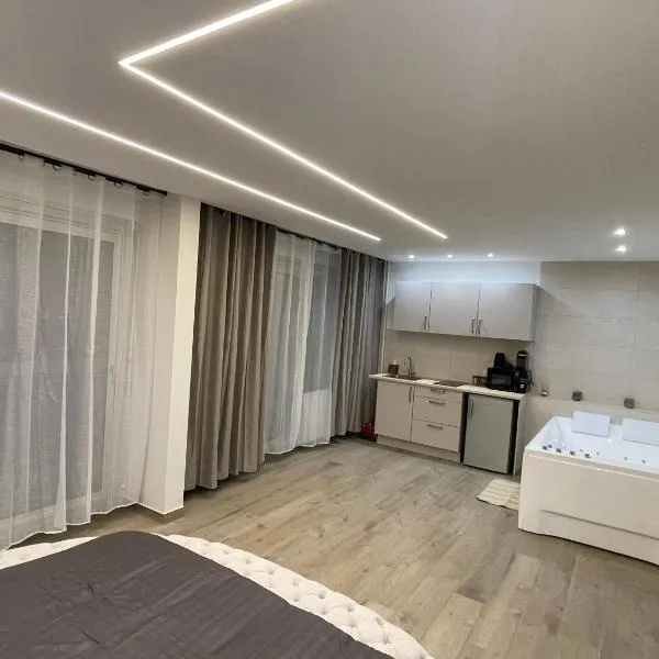 Le cocon - Studio avec balnéo et terrasse, hotel v destinaci Lingolsheim