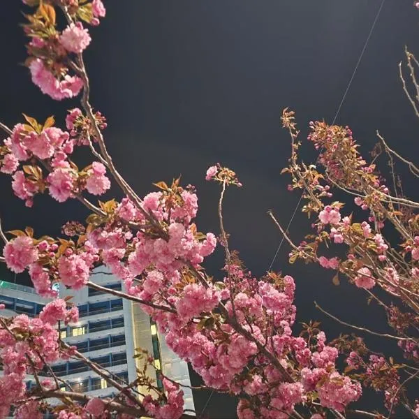 SL Hotel Gangneung，江陵市的飯店