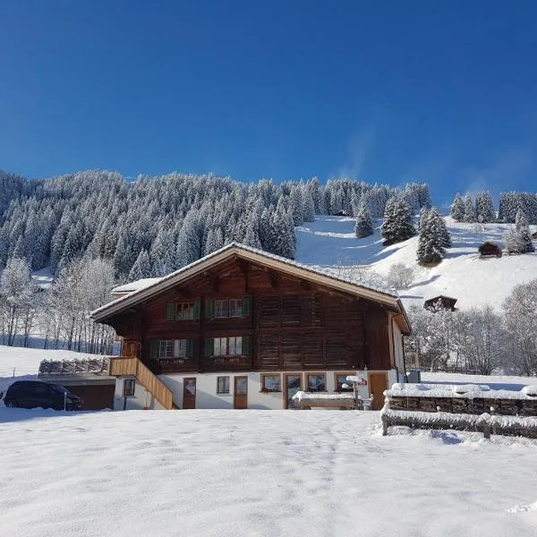 BnB Fellacher, hotel v destinaci Adelboden