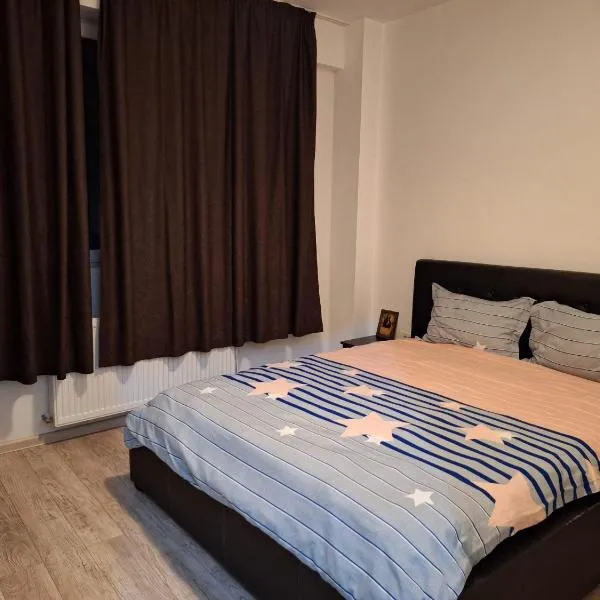 Cazare Regim Hotelier apartament 2 camere Militari, khách sạn ở Roşu