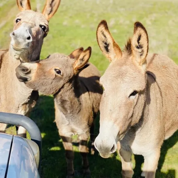 Sandalwood Downs Fabulous Farm Stay TOODYAY, hotell i Toodyay