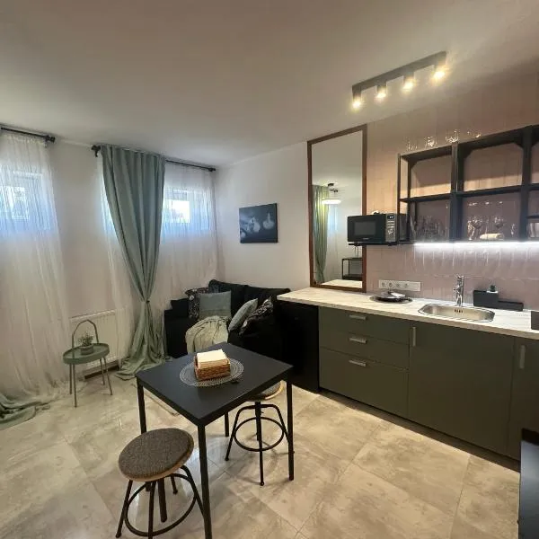 VISTA Apartment, hotel v destinaci Mińsk Mazowiecki