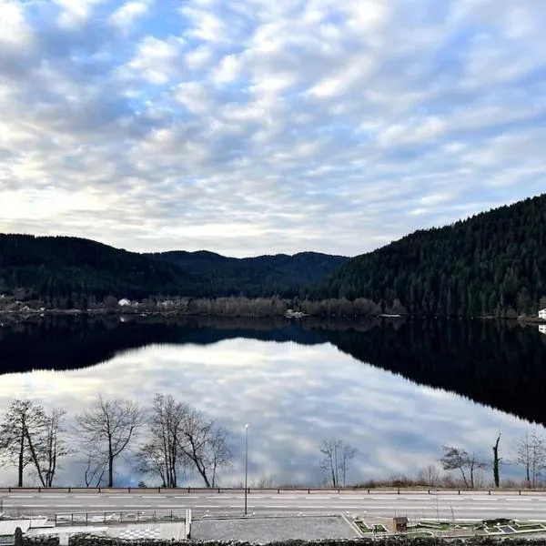 Appartement Neuf VUE LAC 6/8pers, hotelli kohteessa Gérardmer