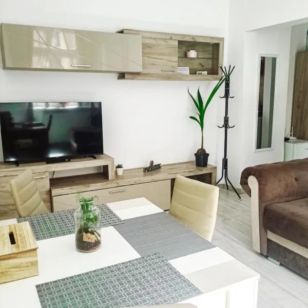 Friendly little studio, hotel in Braşov