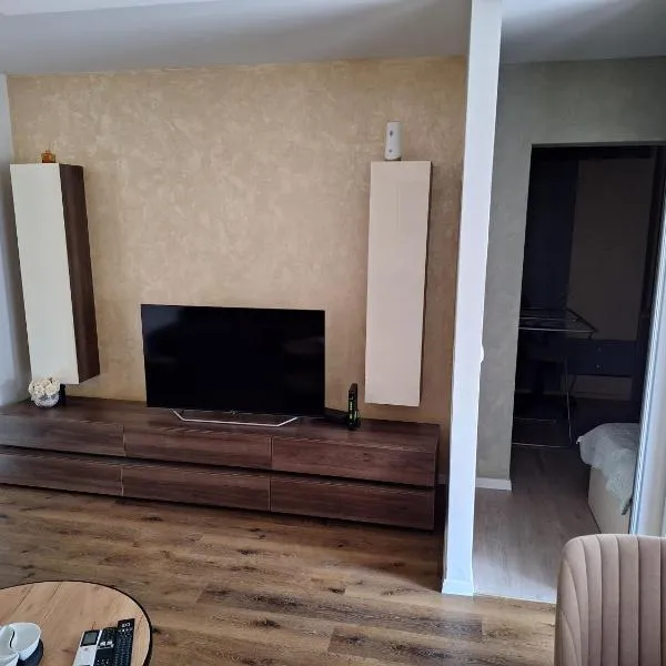 Appartment, hotel v destinaci Zenica