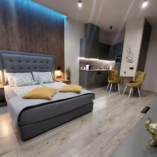 Silver Dawn Apartments, hotel in Szeged