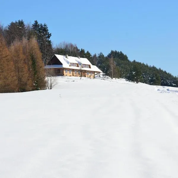 Schronisko Górskie nad Smolnikiem, hotell i Łupków