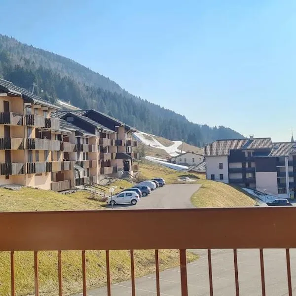 Appartement Lélex vue sur les pistes, hotel a Lélex