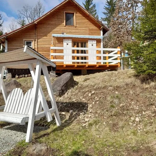 Homoród Lodge, hotel in Băile Homorod