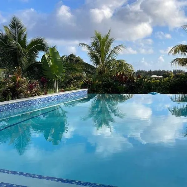 Avaiki Nui Villa, hotel v Avarui