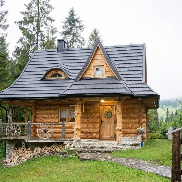 Bacówka Polanki, hotel in Obidowa