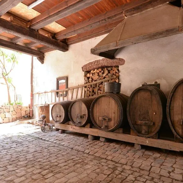 Belle Maison Alsacienne de 1610, hotel in Gueberschwihr