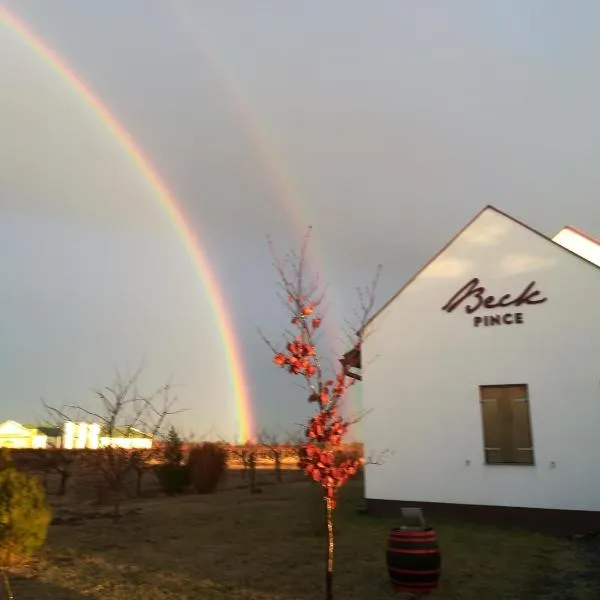 Beck Pince, hotel in Hajós