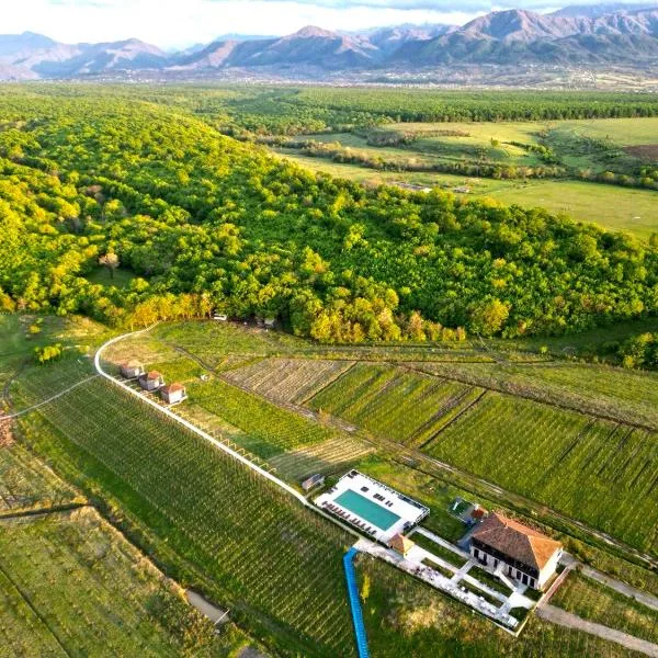 Chateau Vartsikhe, hotel in Vani