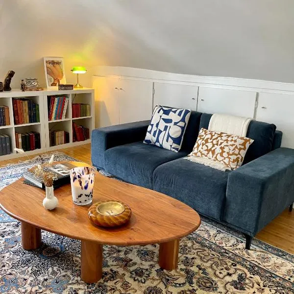 Charmant appartement parisien