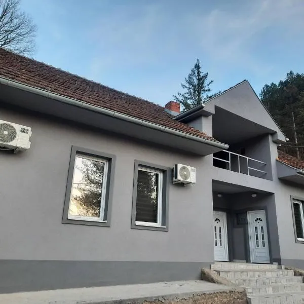 Apartmani Ćosić - Kuršumlijska banja, hotel in Prolomska Banja