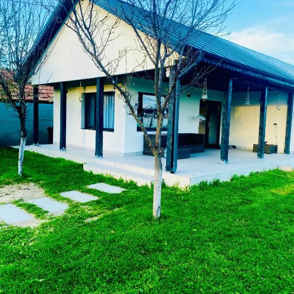 Tacchini's Home, hotel in Plosca
