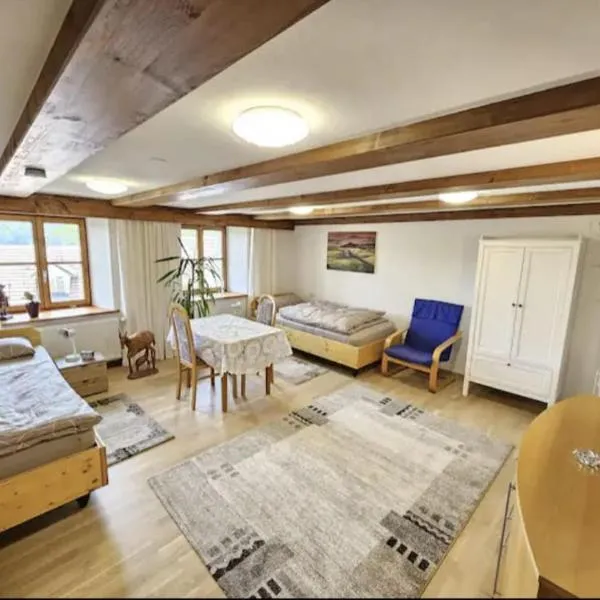 Schwarzwald Ferienwohnung Monteure, hotel v destinaci Görwihl