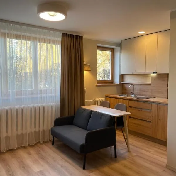 Centra dzīvoklis, hôtel à Jelgava