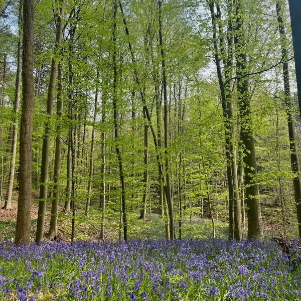 Bois de Hal, hotel v destinaci Braine-lʼAlleud