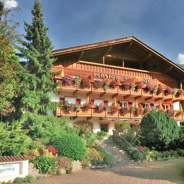 Pension Alpenhof, hotel en Moso in Passiria