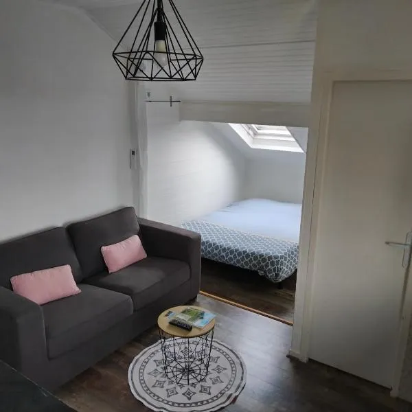Le Studio du Brochy – hotel w mieście Hauteville-Lompnes