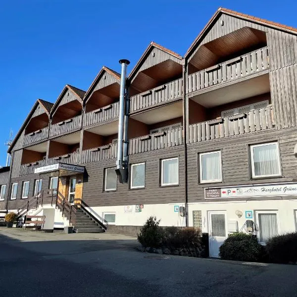 Harzhotel Grünett, hotel v destinaci Langelsheim