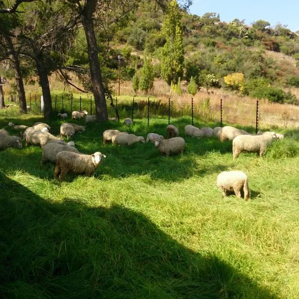 Springwater Cottages, hotel di Ficksburg