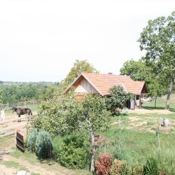Farmica, Bed&Breakfast, Bazen izdvojen nekoliko minuta hoda, hotel in Ðurđevac