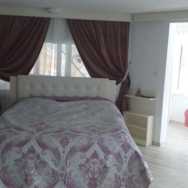 Vila Flory Voronet, hotel en Voroneț