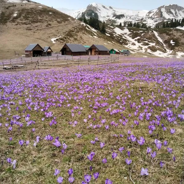 Katun Siska Medna Dolina, hotel v destinaci Berane