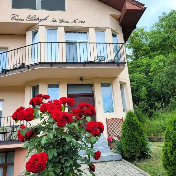 Casa Patryk, khách sạn ở Orşova