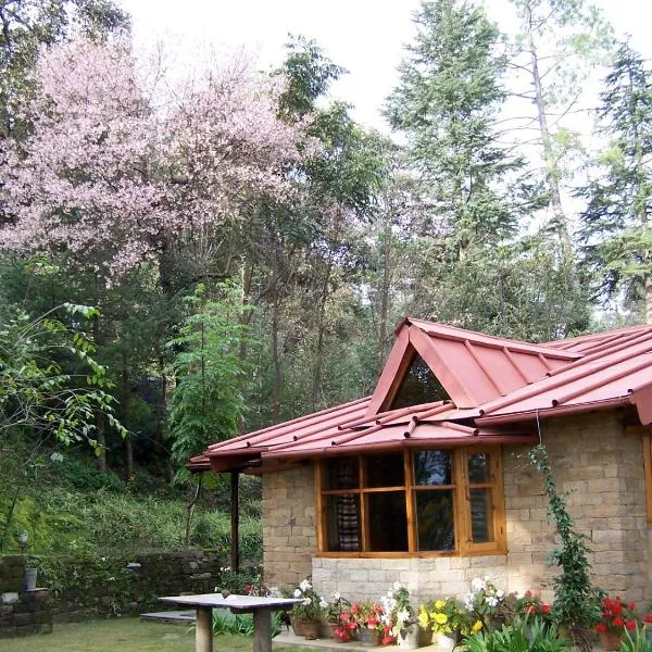 Snow View Cottage Kasardevi, hotell i Almora