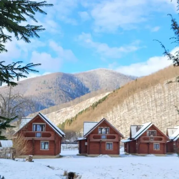Котеджі Карпати Fest, hotel in Mizhhirʼʼya