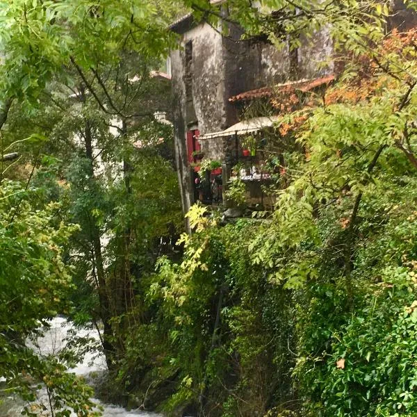 Grande maison cévenole authentique, Hotel in Valleraugue