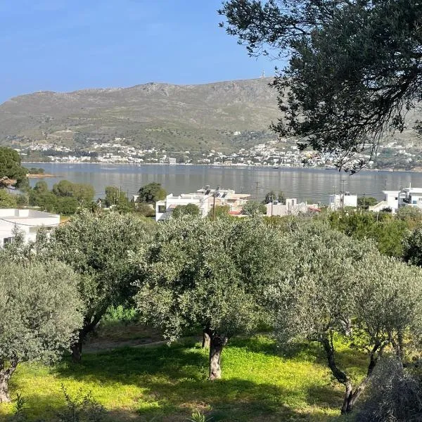 The Velanidies - Οι Βελανιδιές, hotel in Agia Marina