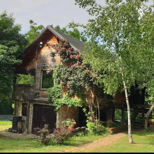 Log cabin, hotel di Srednji Kraj