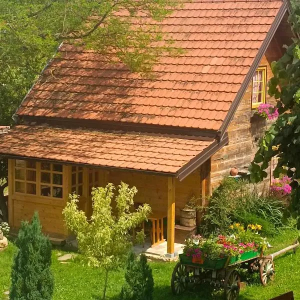 Apartments Vila Selena - Golija, hotel in Gornji Babići