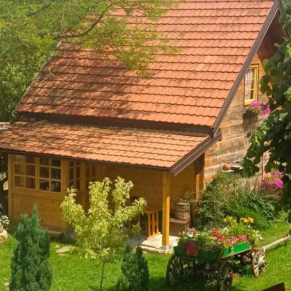 Apartments Vila Selena - Golija, hotel in Rudno