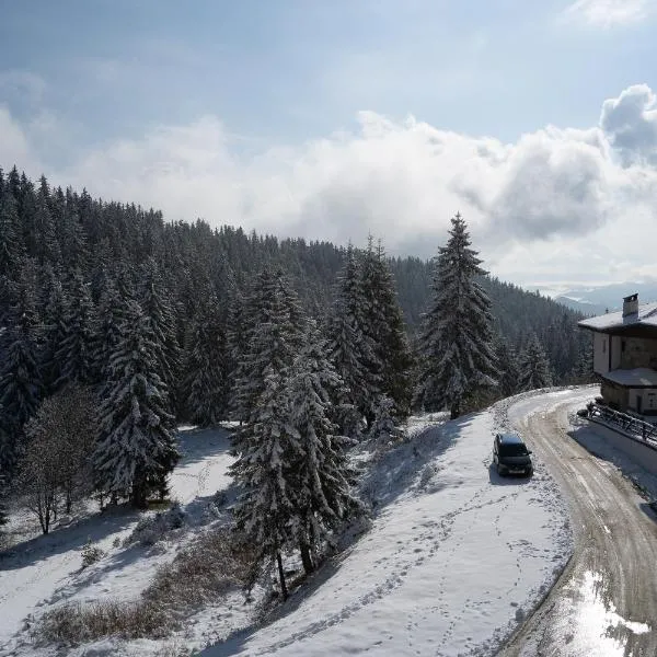 Апартамент ДЕНИ, hotel in Pamporovo