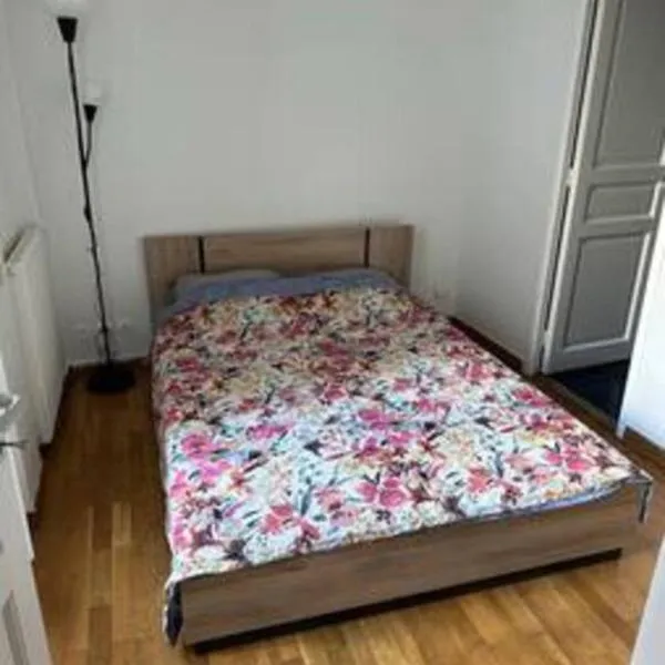 Champs-Élysées appartment 4 beds