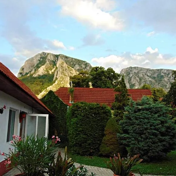 Vigh vendégház, hotel in Muntele Cacovei