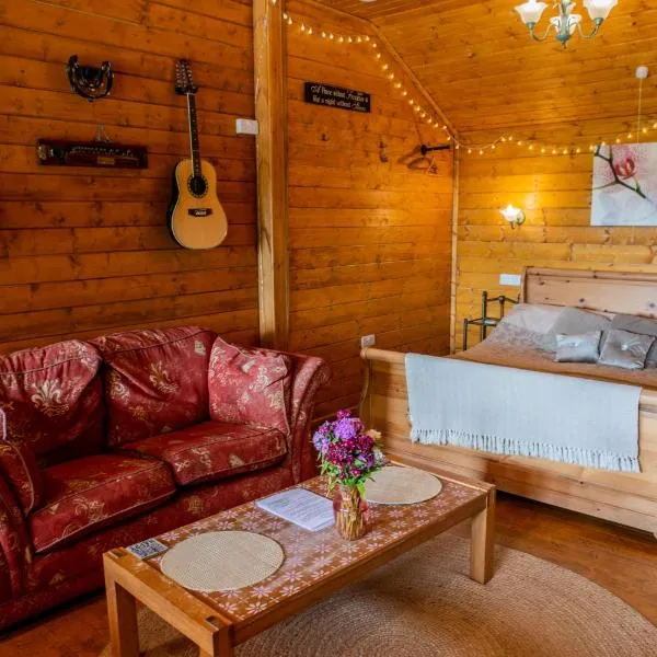 Blossom Cabin - Little log Cabin in Wales, hotel in Newtown