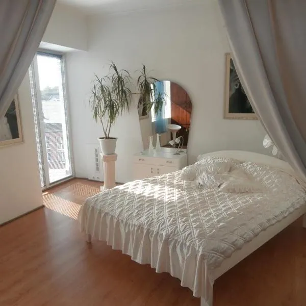 Private Apartment For You, hotel i Tartu